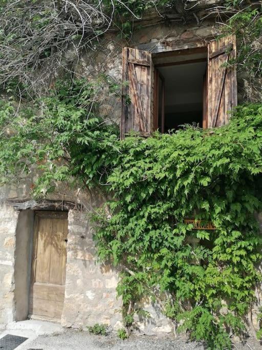 La Maison De La Vigne Бодюэн Экстерьер фото